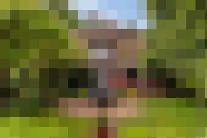 Ensinkgoorsdijk 7 Markelo foto 3