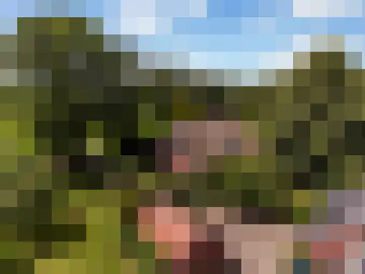 Ensinkgoorsdijk 7 Markelo thumbnail 4