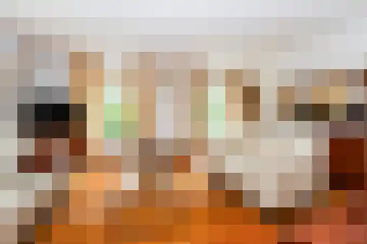 Ensinkgoorsdijk 7 Markelo thumbnail 6