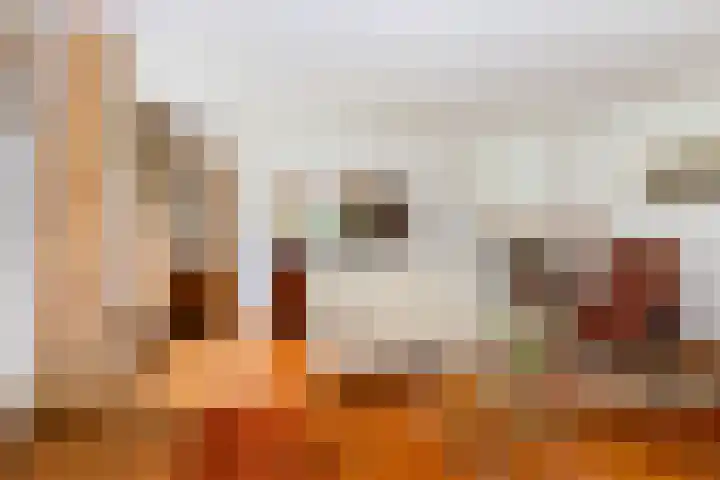 Ensinkgoorsdijk 7 Markelo thumbnail 7