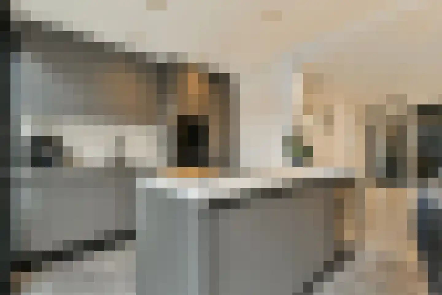 Entabeni 28 Amsterdam thumbnail 10