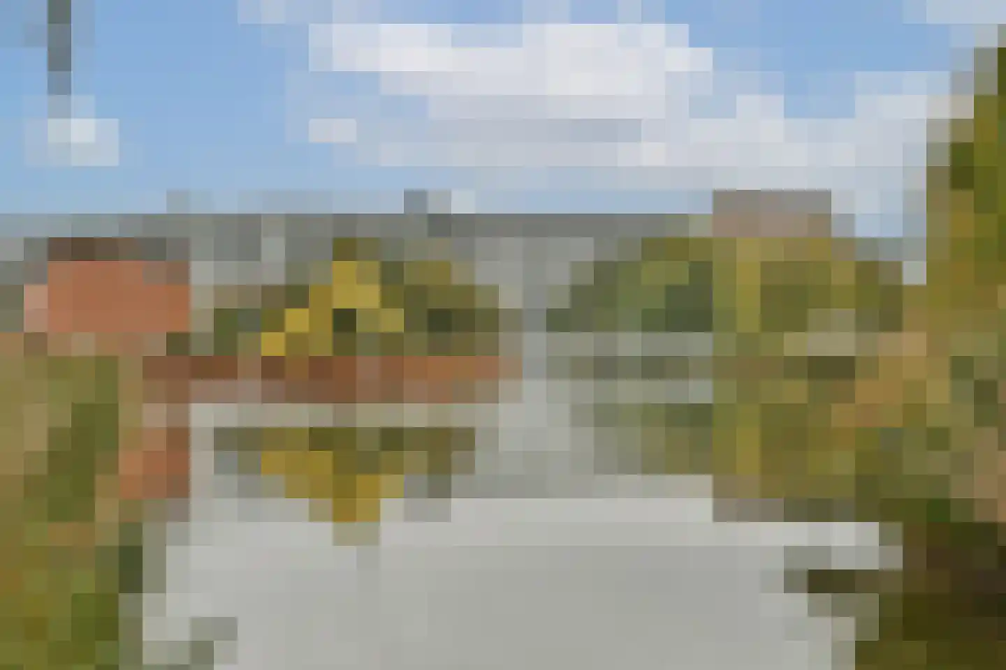Entabeni 28 Amsterdam thumbnail 30