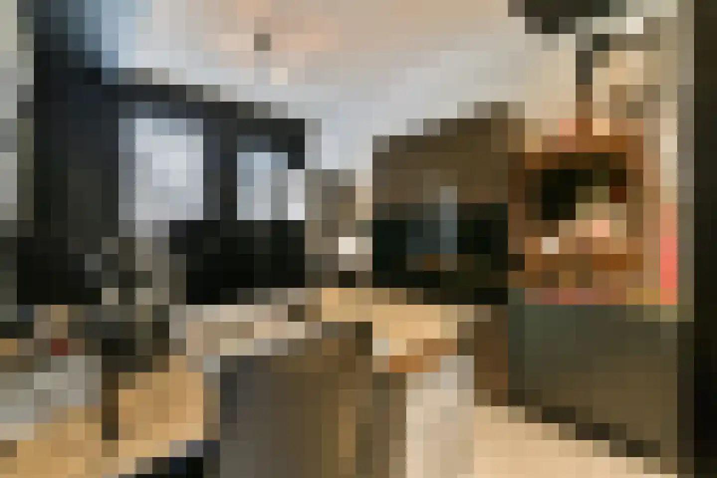 Entabeni 28 Amsterdam thumbnail 5