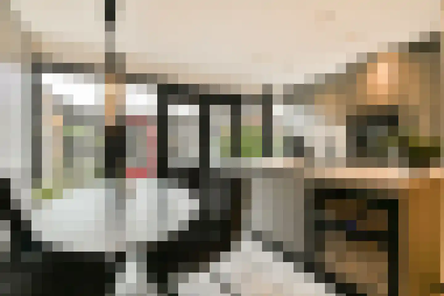 Entabeni 28 Amsterdam thumbnail 8