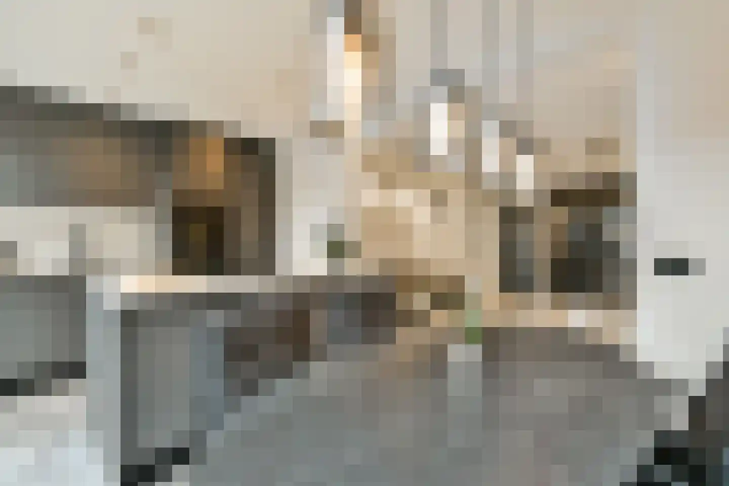 Entabeni 28 Amsterdam thumbnail 9
