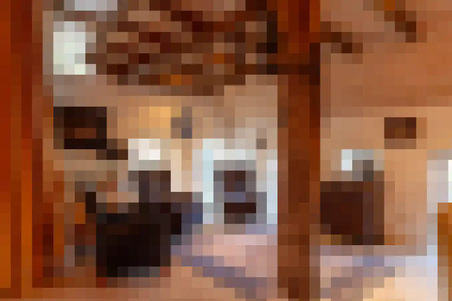Enteldijk 1 Barchem thumbnail 12