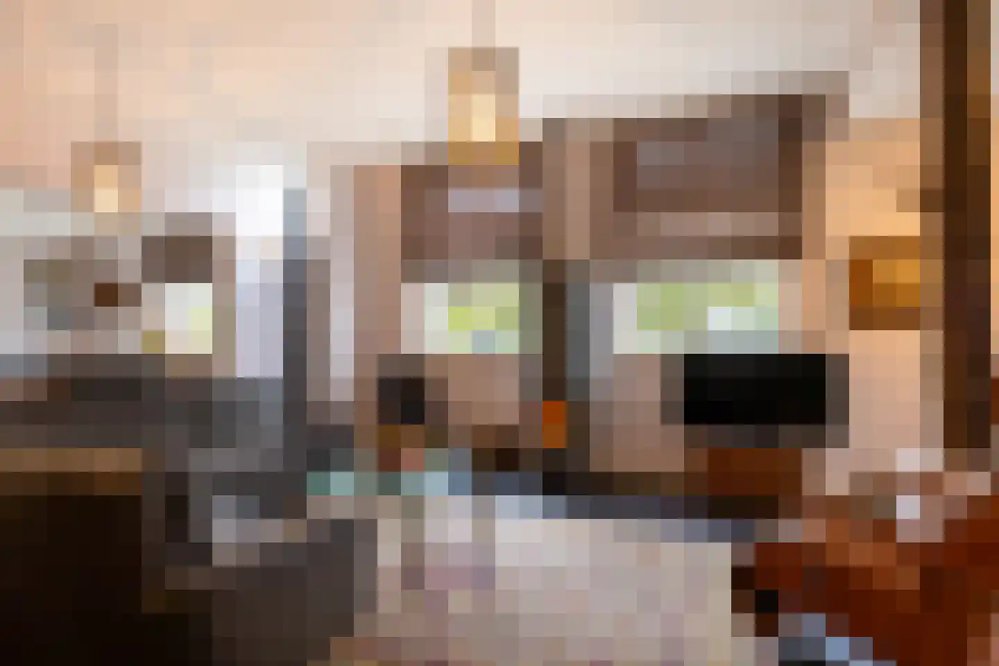 Enteldijk 1 Barchem thumbnail 21