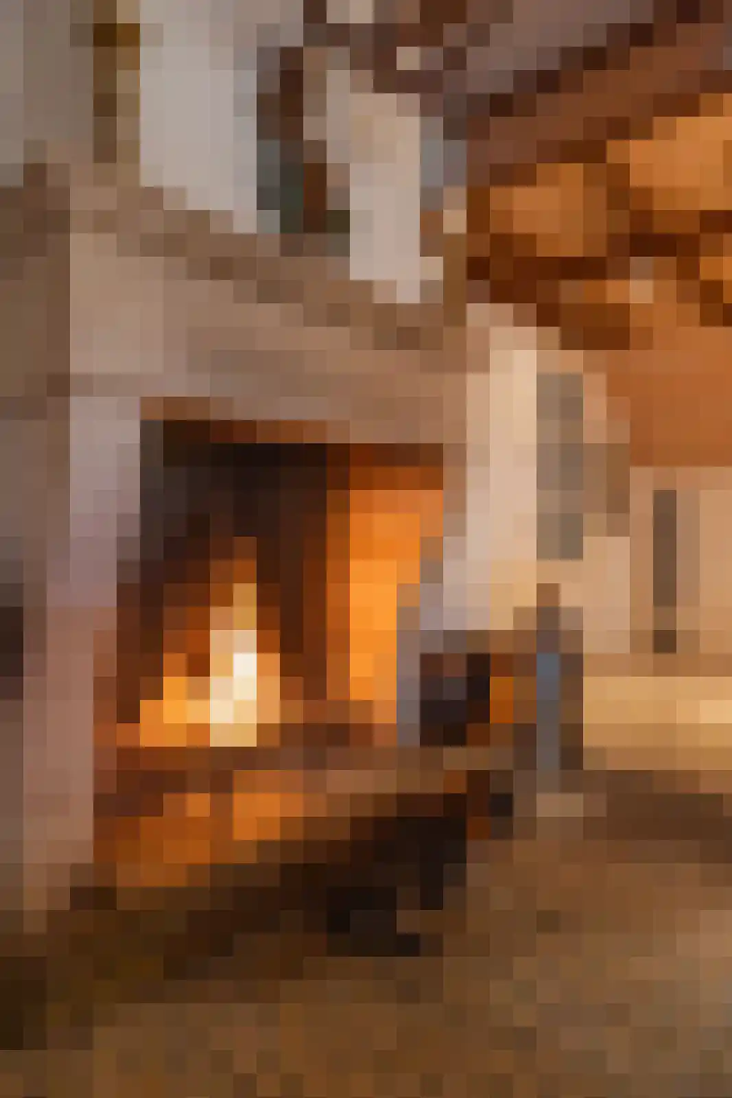 Enteldijk 1 Barchem thumbnail 6