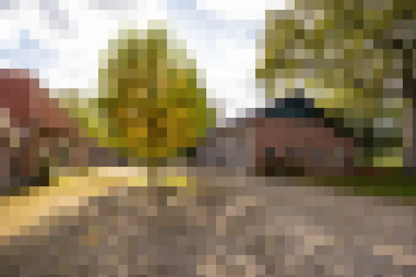 Enteldijk 1 Barchem thumbnail 66