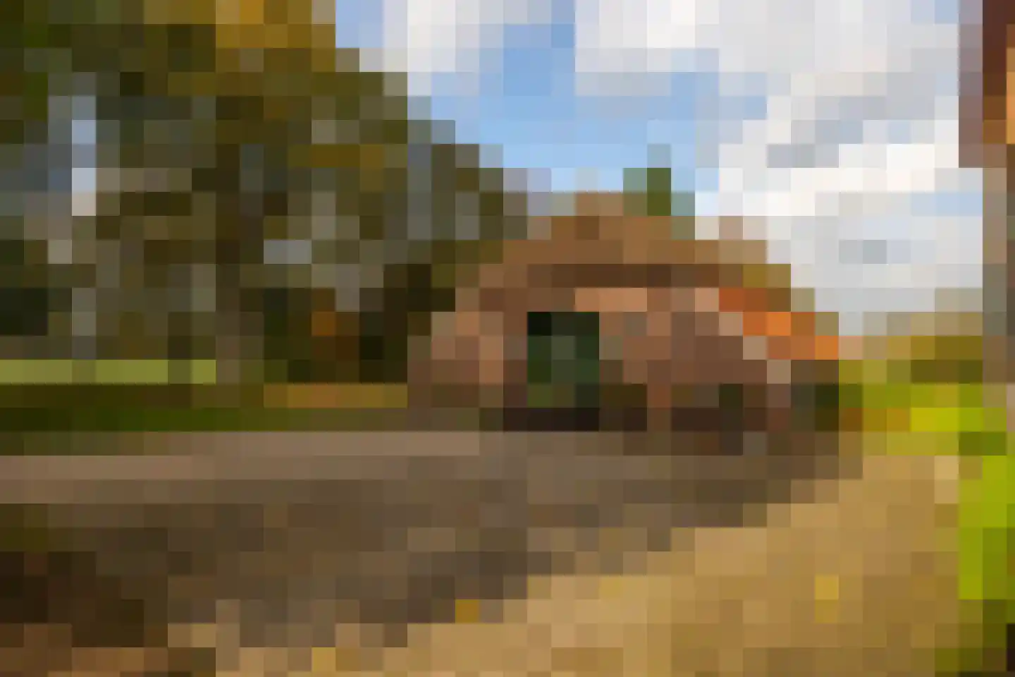 Enteldijk 1 Barchem thumbnail 67