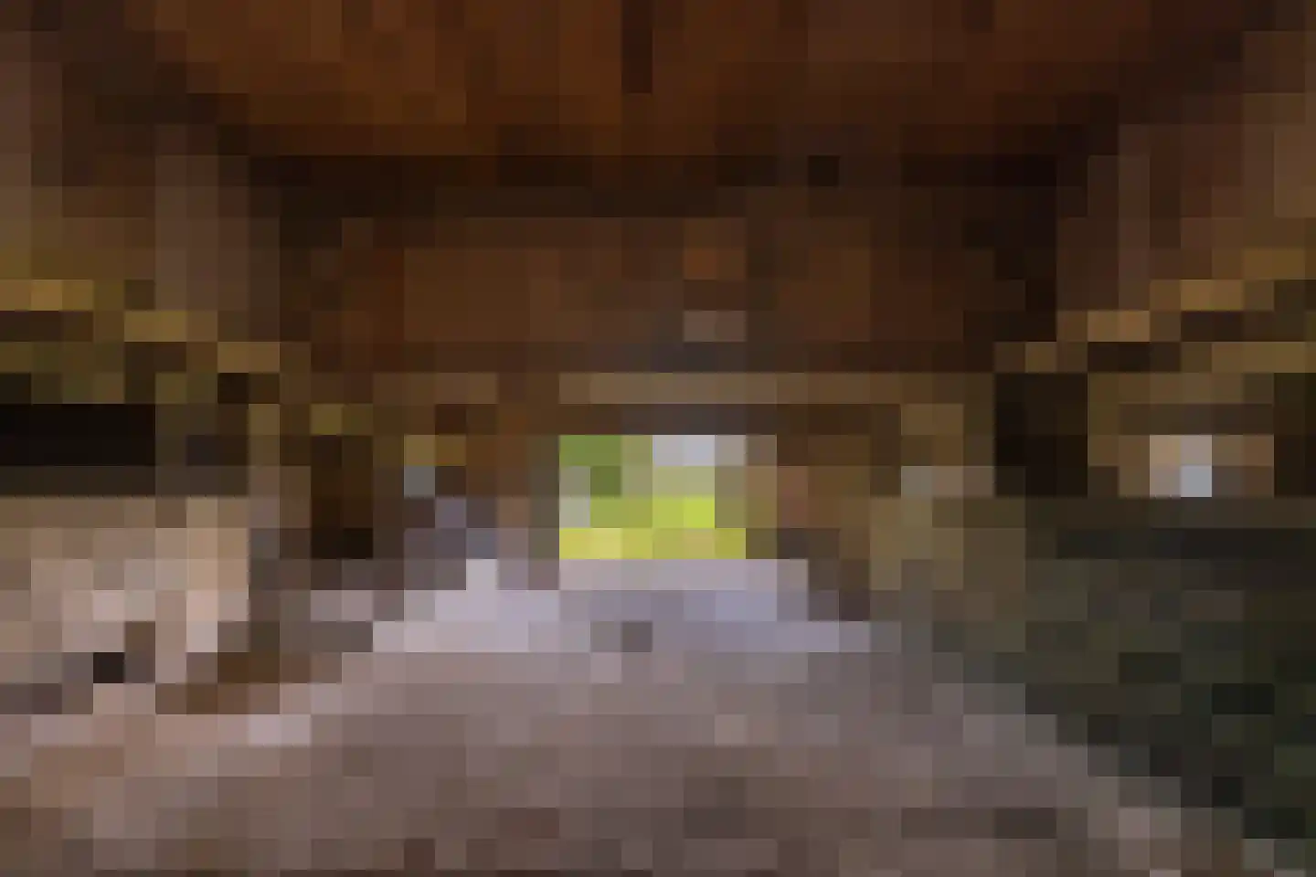 Enteldijk 1 Barchem thumbnail 69