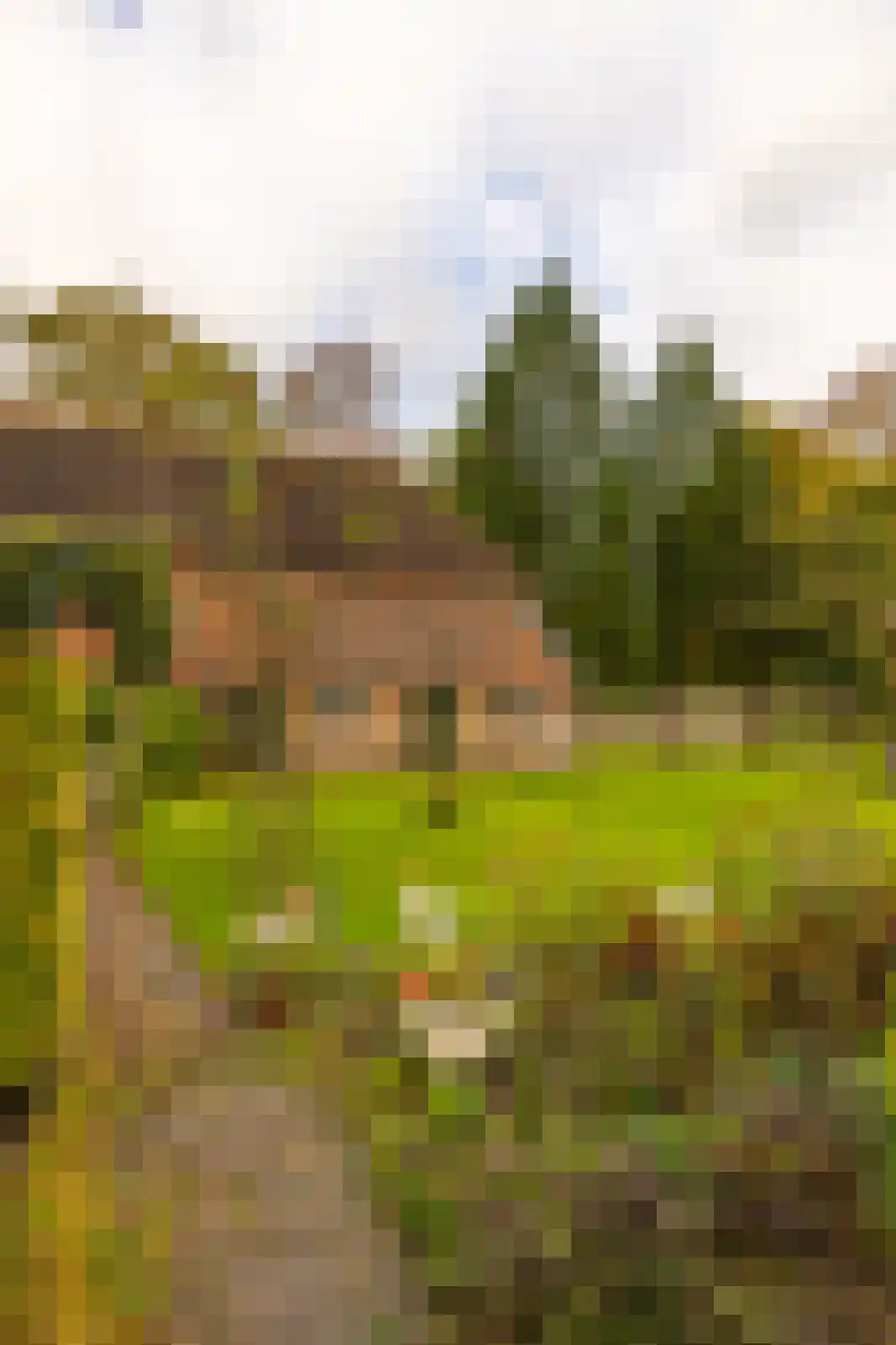 Enteldijk 1 Barchem thumbnail 70