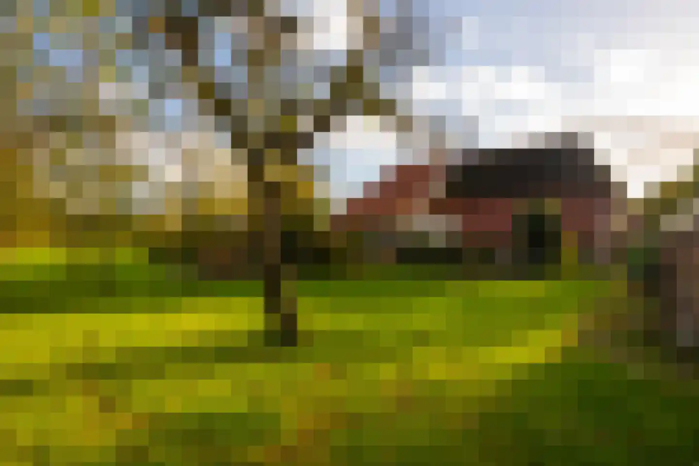 Enteldijk 1 Barchem thumbnail 71