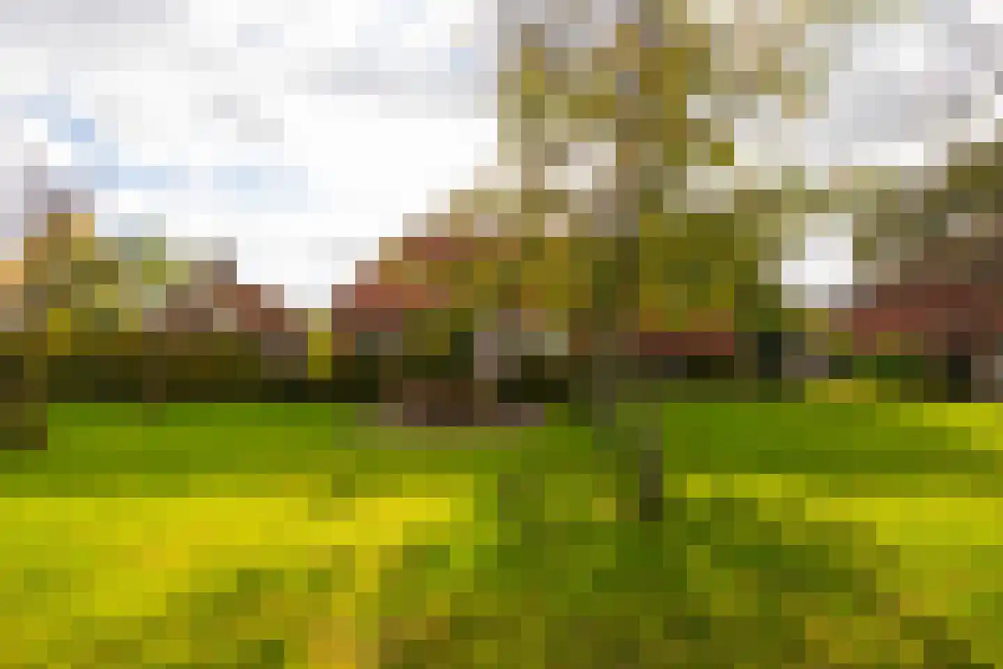 Enteldijk 1 Barchem thumbnail 72