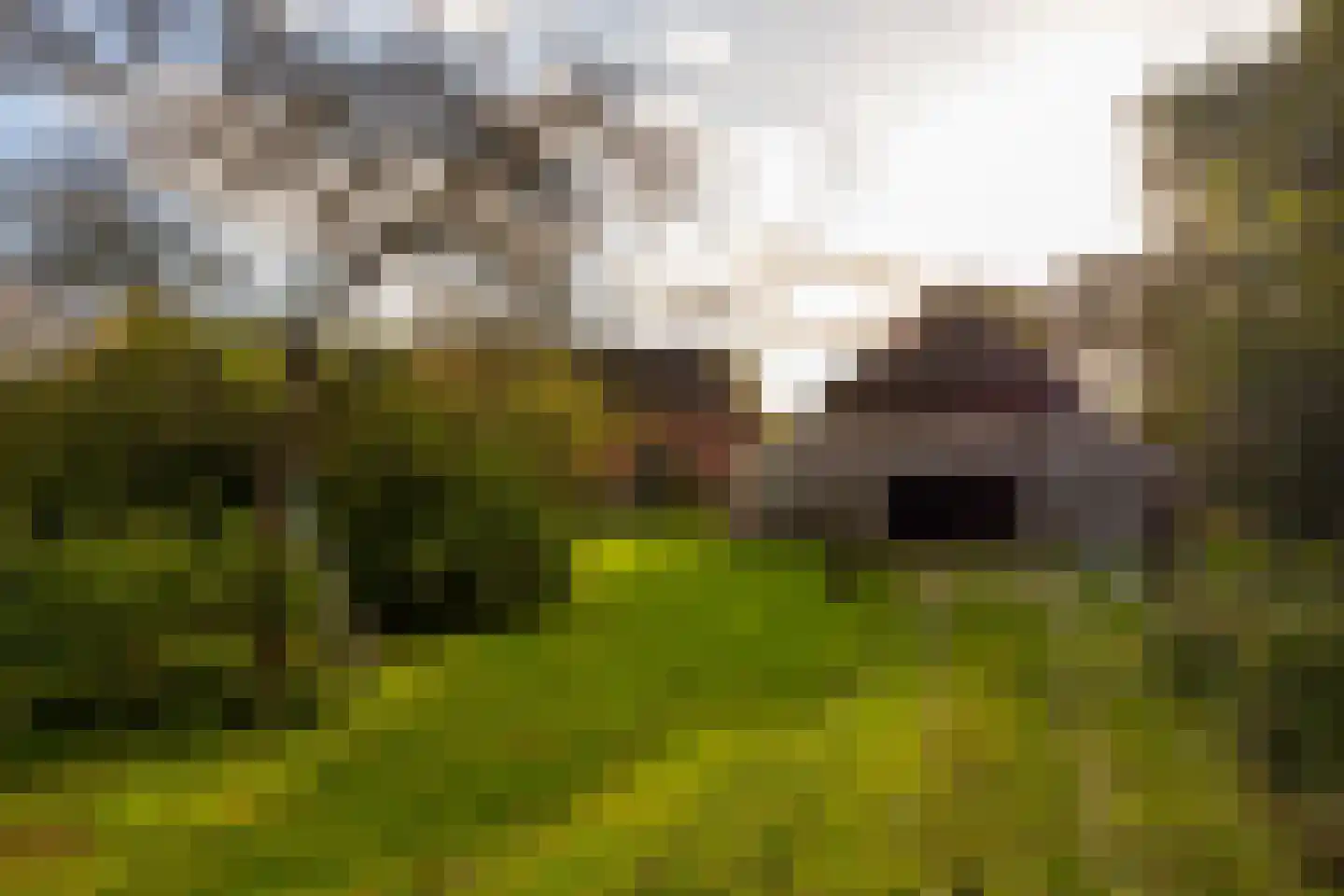 Enteldijk 1 Barchem thumbnail 73