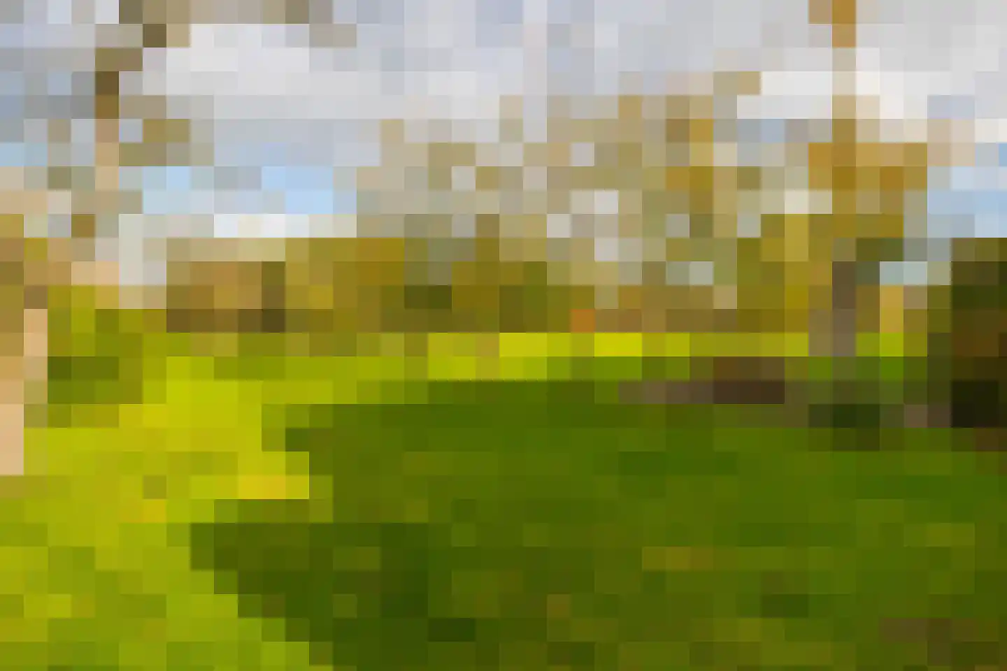 Enteldijk 1 Barchem thumbnail 75