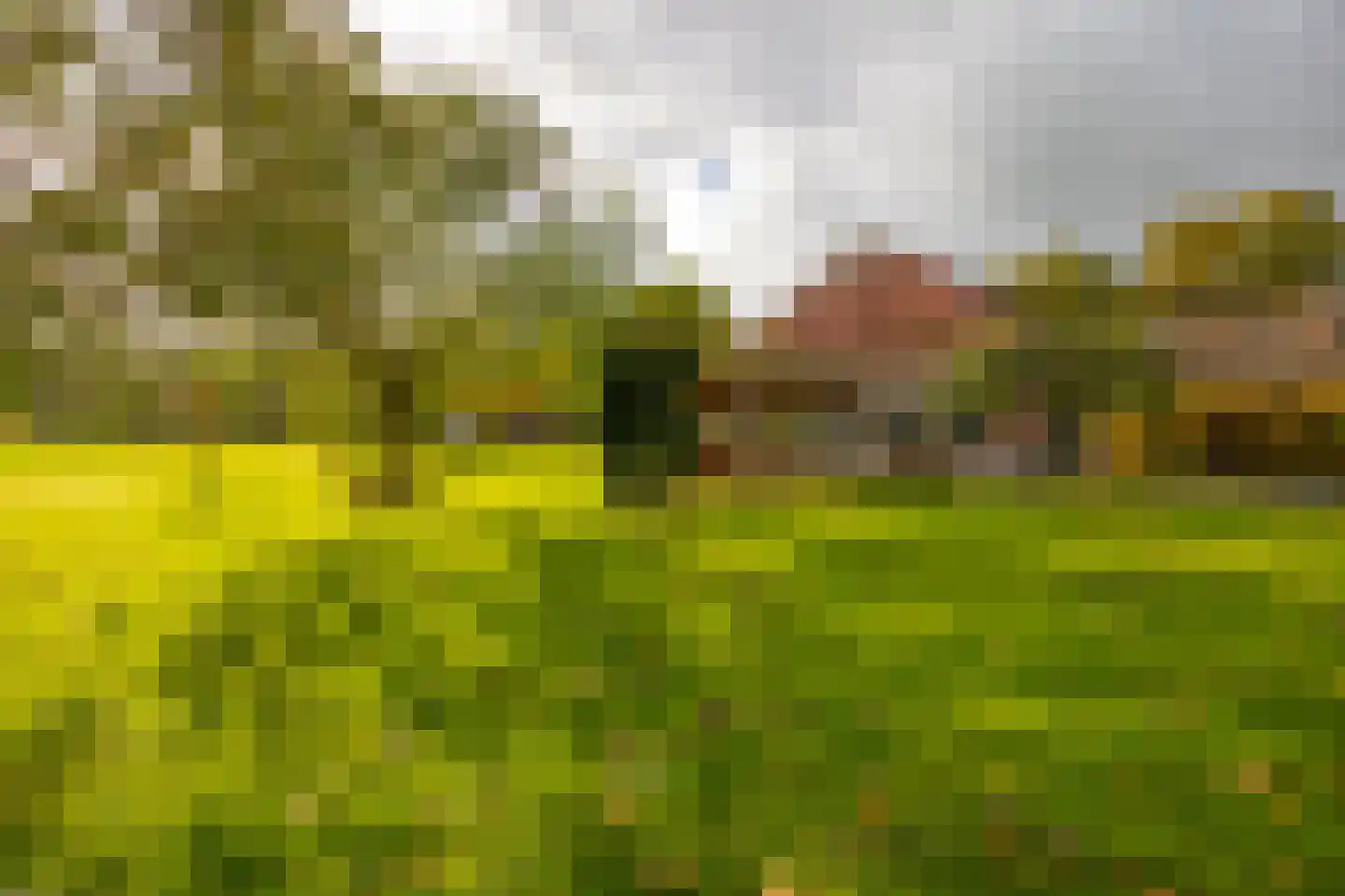 Enteldijk 1 Barchem thumbnail 76