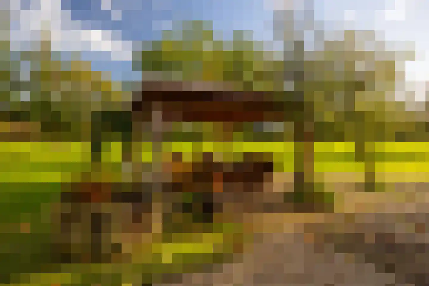 Enteldijk 1 Barchem thumbnail 77