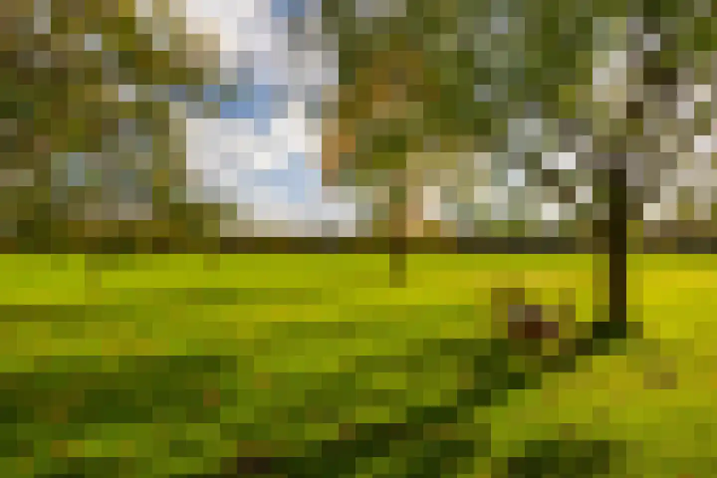 Enteldijk 1 Barchem thumbnail 79
