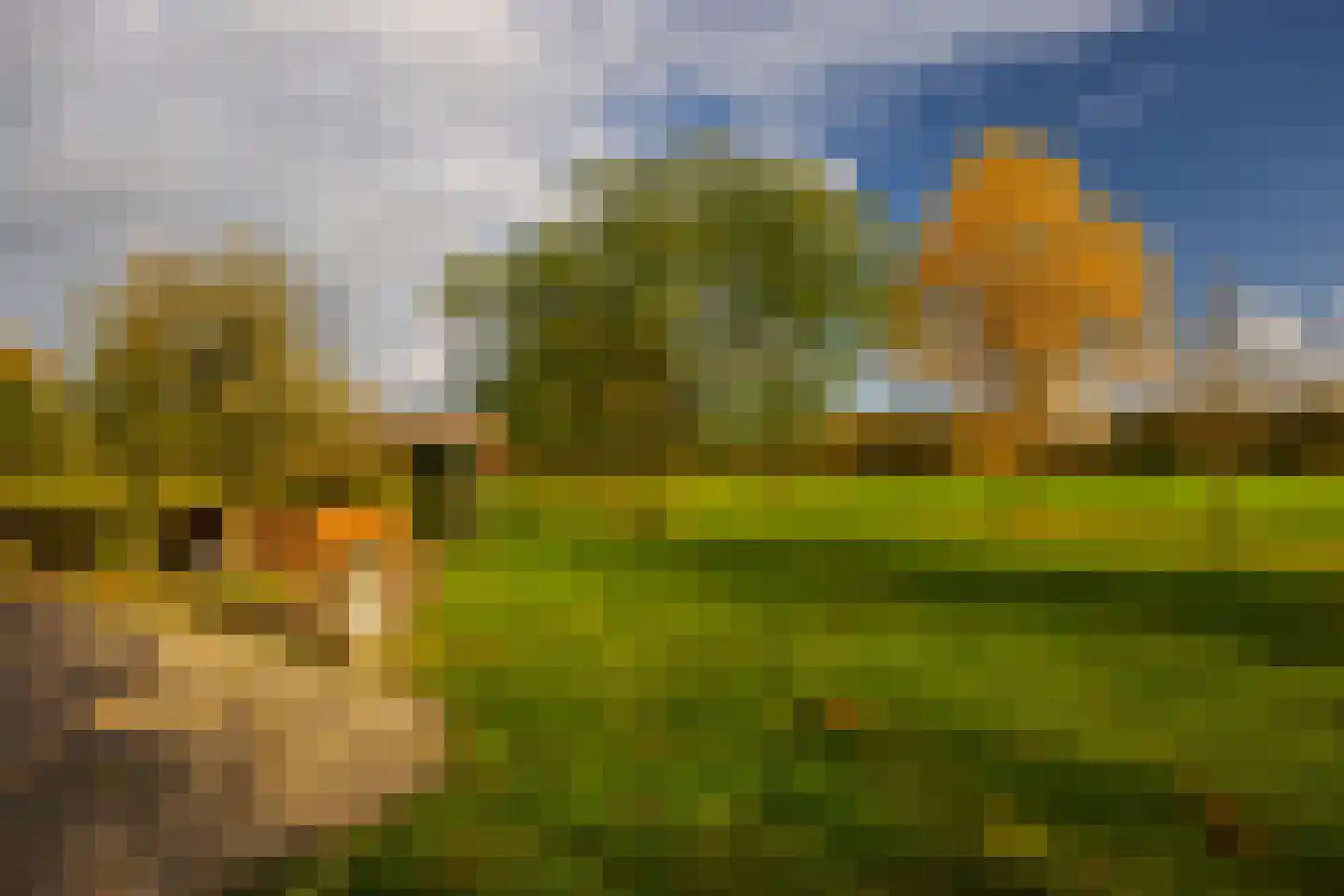 Enteldijk 1 Barchem thumbnail 82
