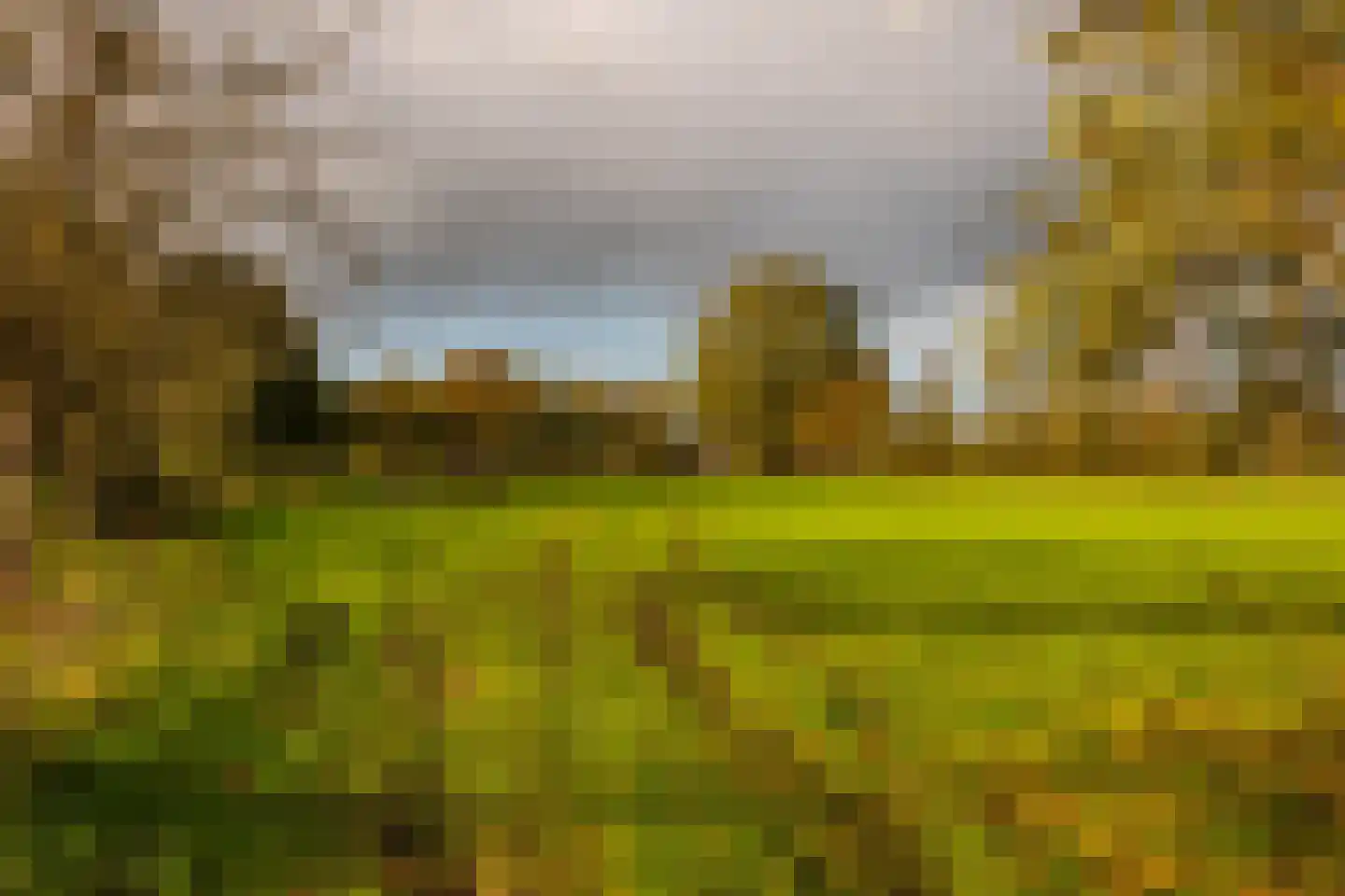 Enteldijk 1 Barchem thumbnail 84