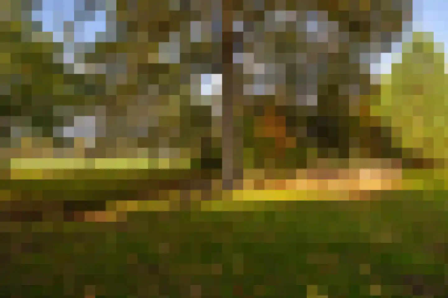 Enteldijk 1 Barchem thumbnail 85