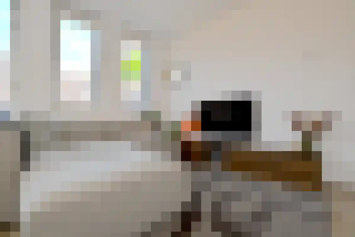 Entensgang 4 Groningen thumbnail 5