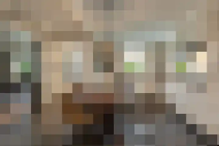 Entersestraat 5 Bornerbroek thumbnail 10