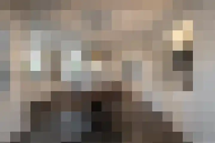 Entersestraat 5 Bornerbroek thumbnail 11