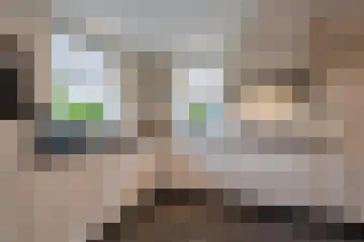 Entersestraat 5 Bornerbroek thumbnail 12
