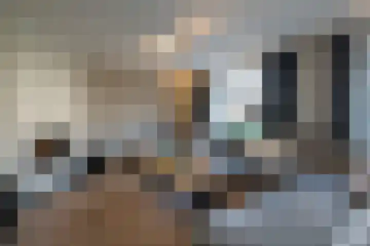 Entersestraat 5 Bornerbroek thumbnail 13