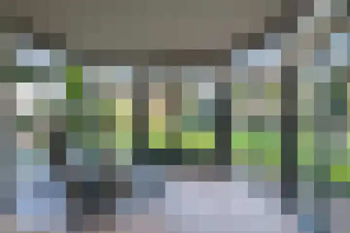 Entersestraat 5 Bornerbroek thumbnail 16