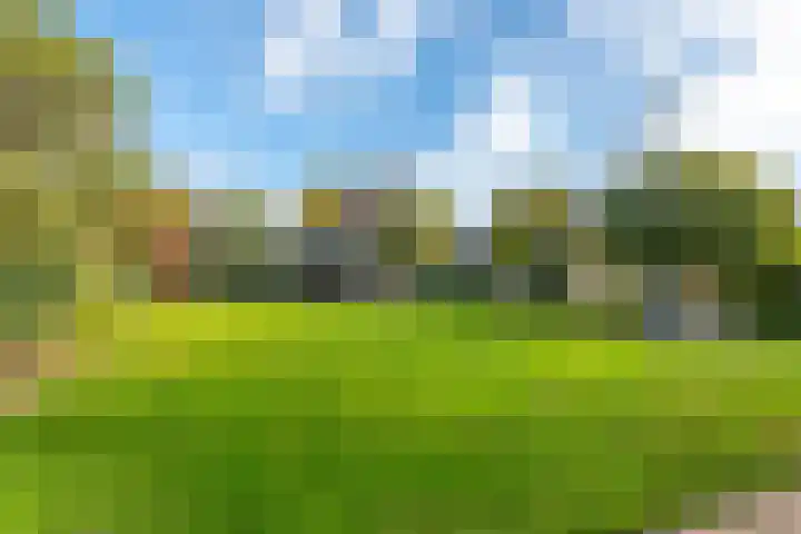 Entersestraat 5 Bornerbroek thumbnail 24