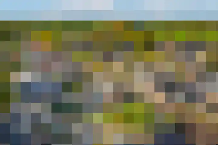 Entersestraat 5 Bornerbroek thumbnail 4