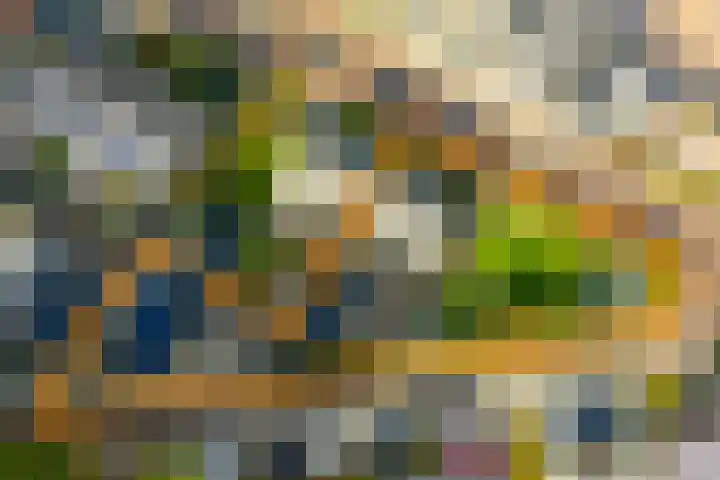 Entersestraat 5 Bornerbroek thumbnail 5