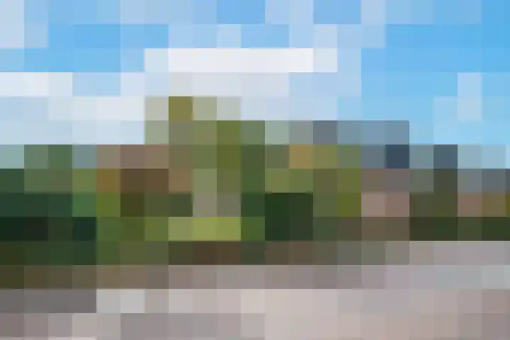 Entersestraat 5 Bornerbroek thumbnail 6