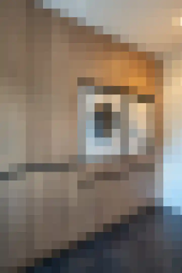 Entersestraat 5 Bornerbroek thumbnail 8