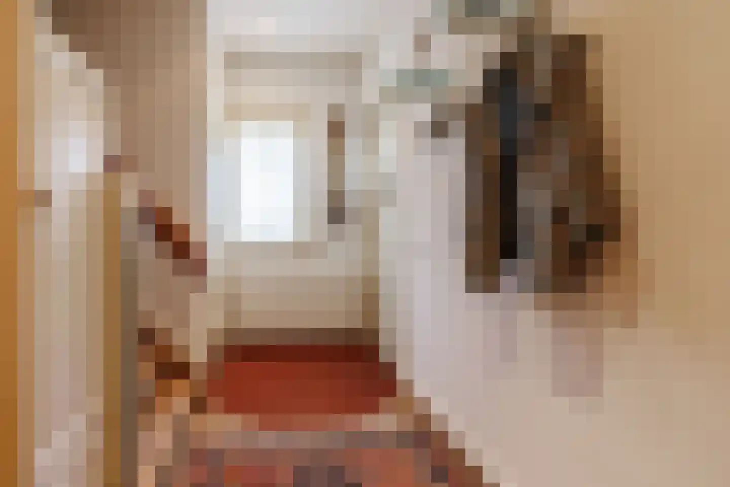 Enterstraat 156 Rijssen thumbnail 10