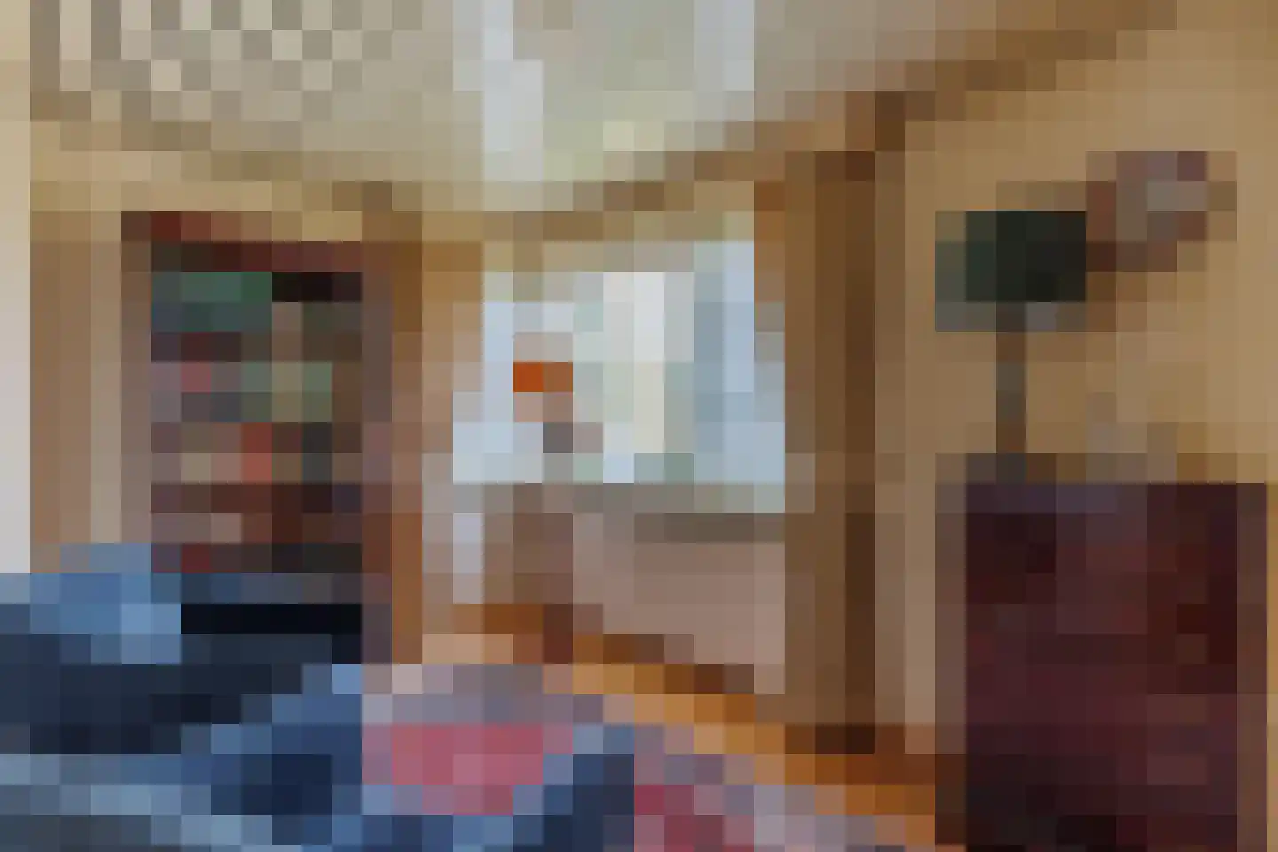 Enterstraat 156 Rijssen thumbnail 17