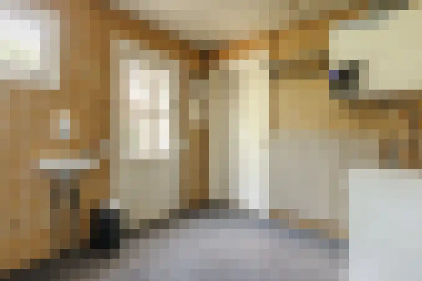 Enterstraat 156 Rijssen thumbnail 26