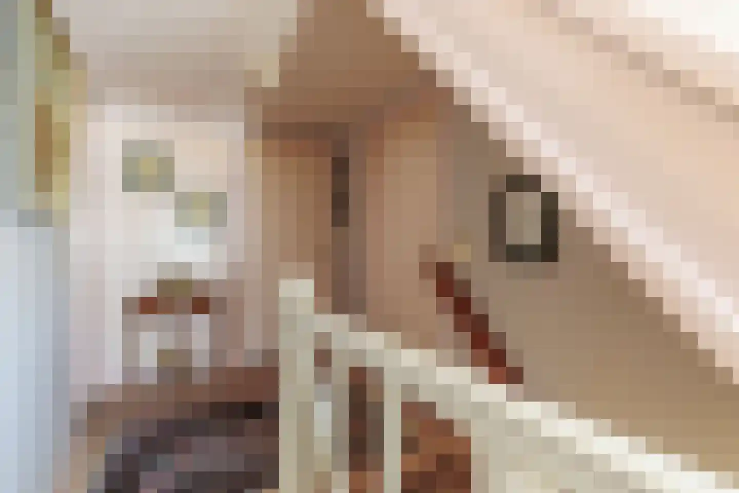 Enterstraat 156 Rijssen thumbnail 34