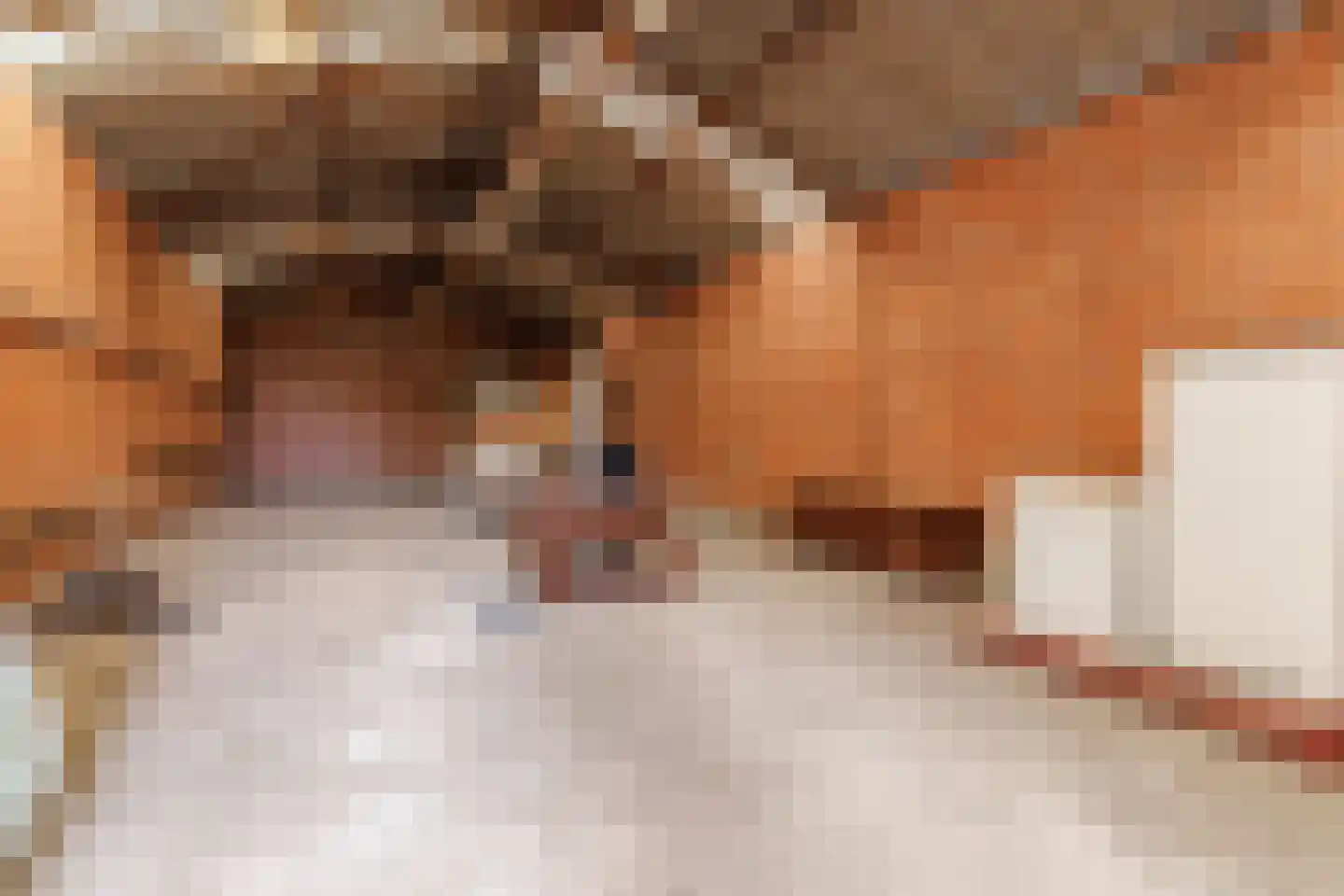 Enterstraat 156 Rijssen thumbnail 36