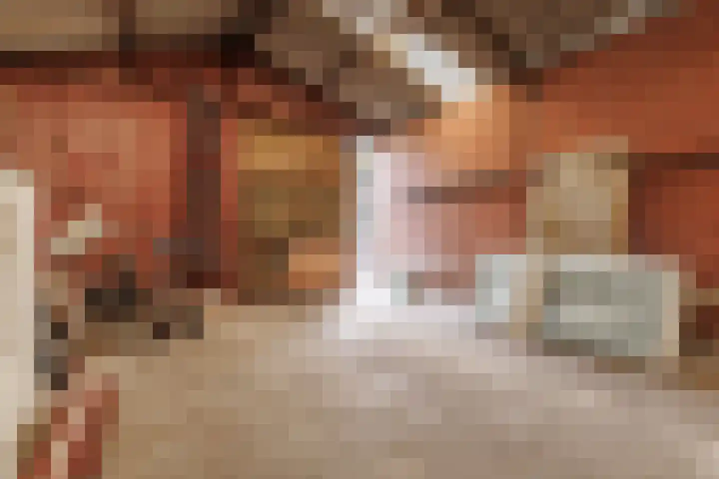 Enterstraat 156 Rijssen thumbnail 37