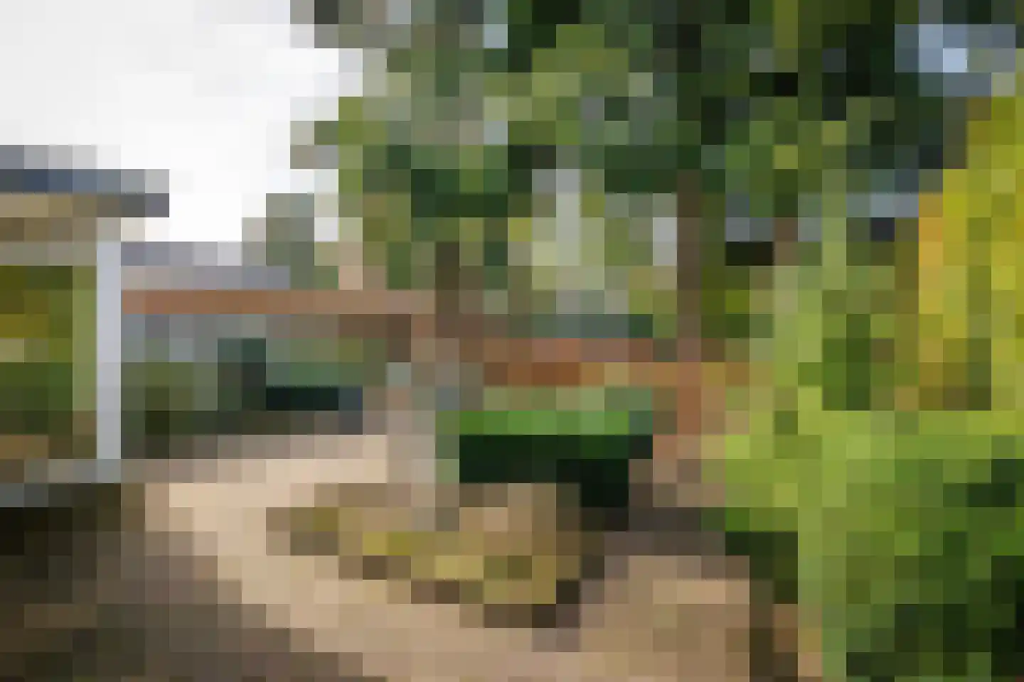 Enterstraat 156 Rijssen thumbnail 38