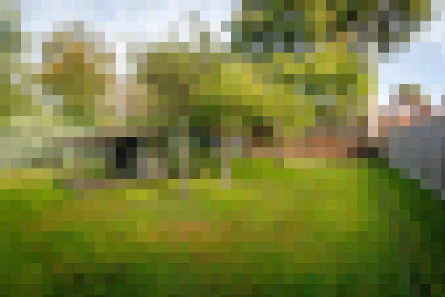 Enterstraat 156 Rijssen thumbnail 44
