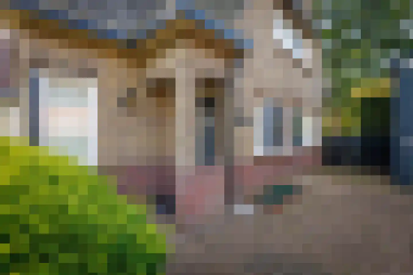 Enterstraat 156 Rijssen thumbnail 49