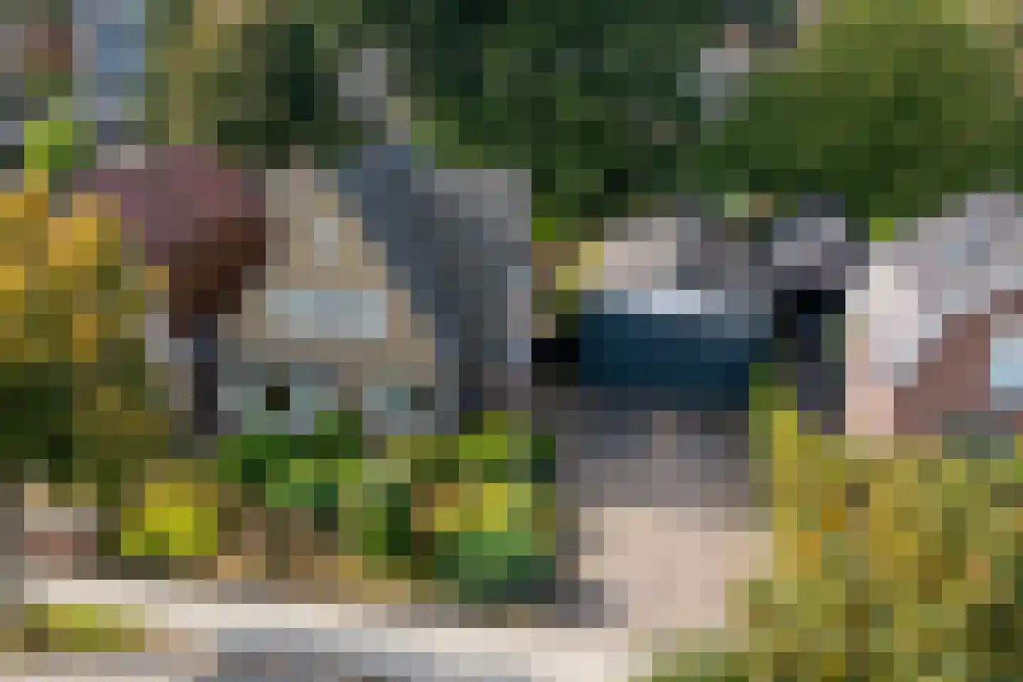 Enterstraat 156 Rijssen thumbnail 5