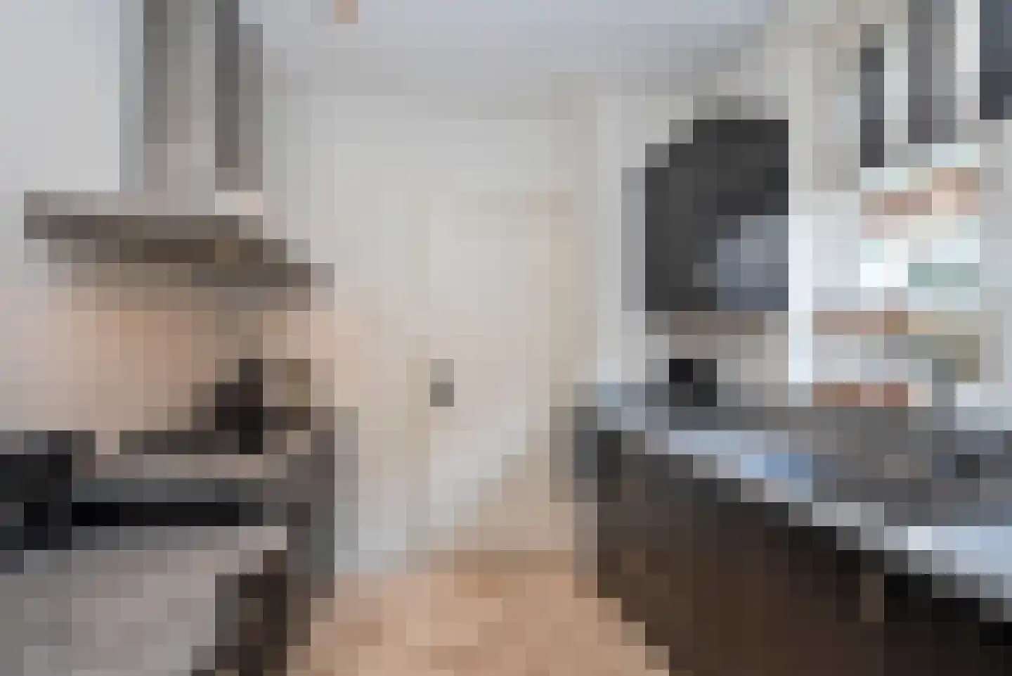 Enterstraat 61 Rijssen thumbnail 14