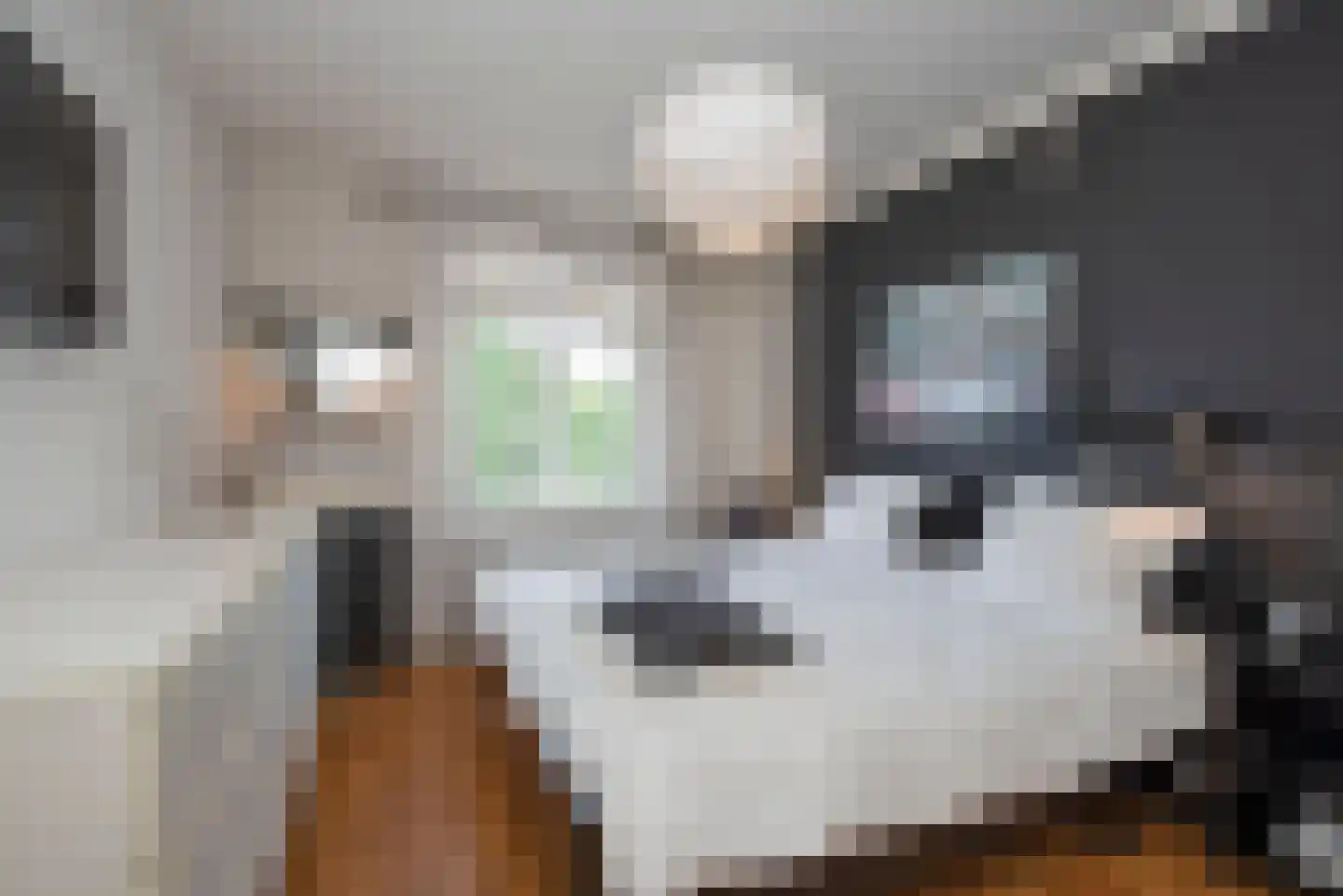 Enterstraat 61 Rijssen thumbnail 22