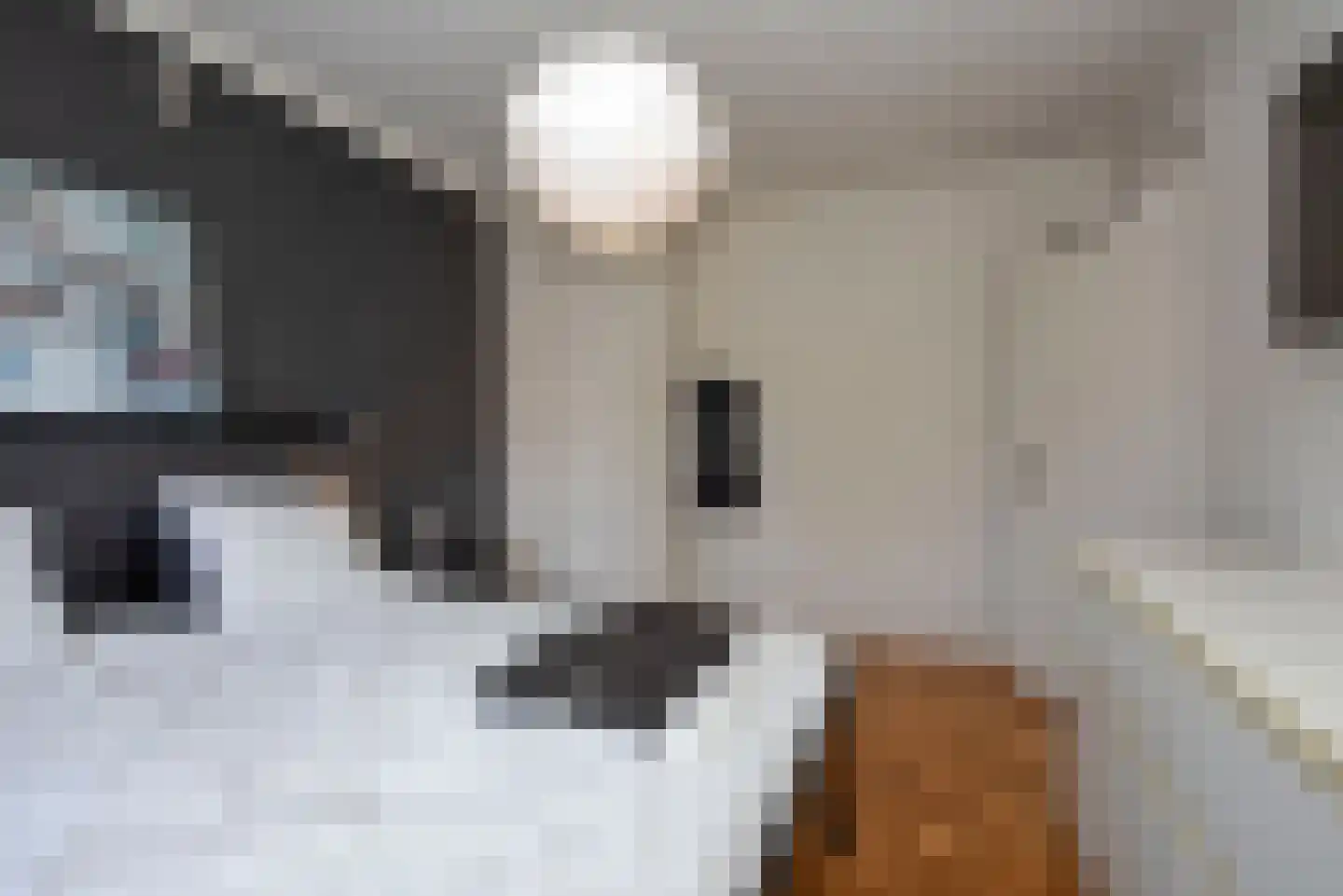 Enterstraat 61 Rijssen thumbnail 23